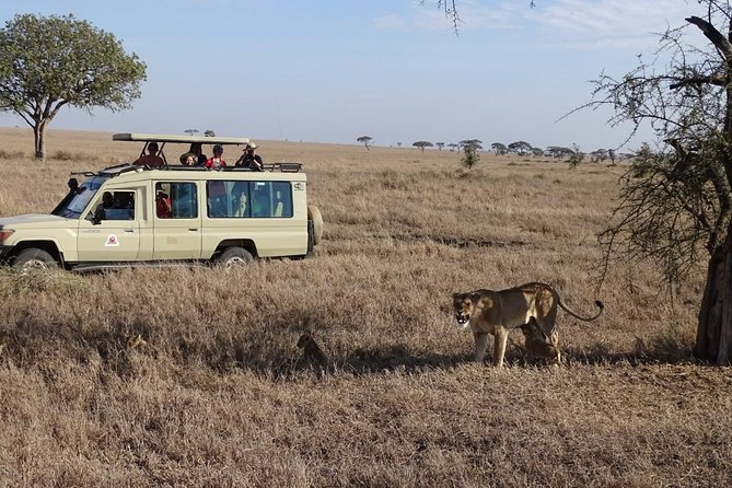 3 Days Group Joining Safari to Maasai Mara With a Land Cruiser Jeep - Professional Guide and Driver