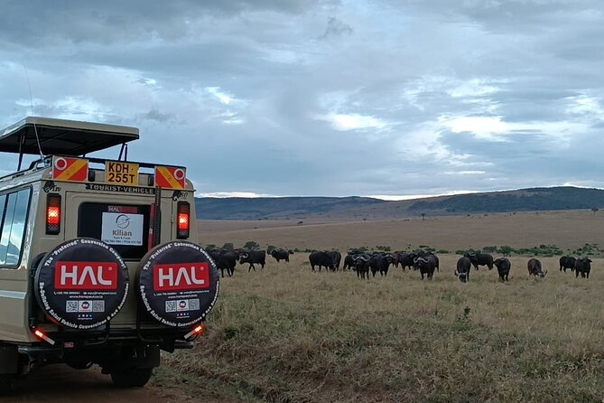 3 Days Maasai Mara Private Safari - Accessibility