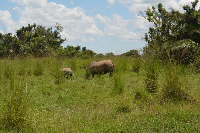 3-Days Murchison Falls Vacation Including Big 5 Sighting! - Whats Included and Excluded