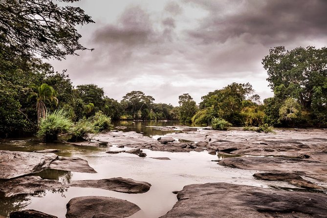 3 Days Safari - Selous Game Reserve - Pickup and Dropoff