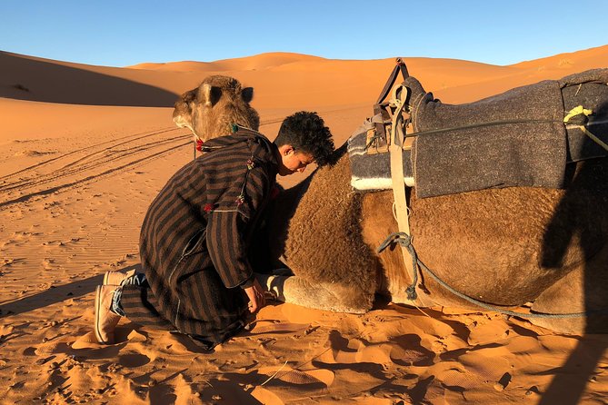 3 Days Shared Sahara Desert Tour From Marrakech - Bedouin Camp Overnight