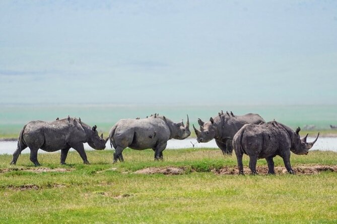 3 Days Tanzania Budget Group Joining Safari Tour - Tour Schedule