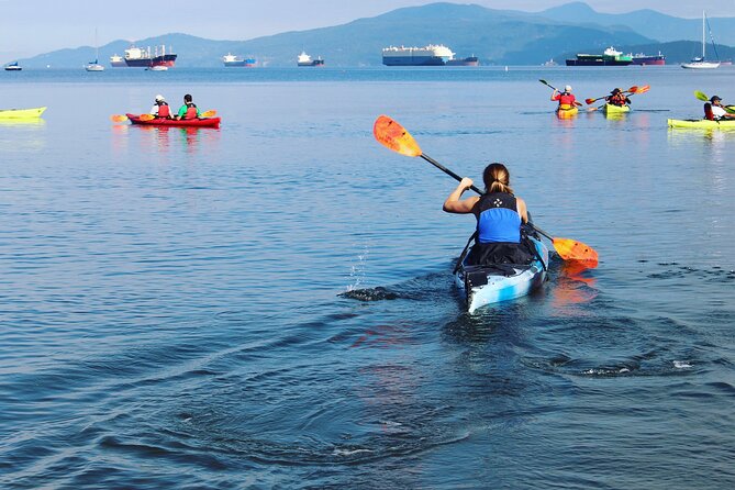 3 Hour Kayak in Vancouver With Coffee on the Beach - Ending the Activity