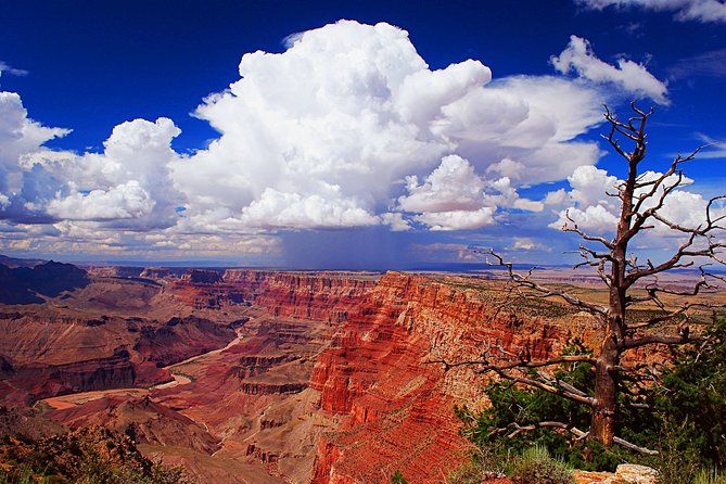 3 Hour Off-Road Sunset Safari to Grand Canyon With Entrance Gate Detour - Wildlife Sightings