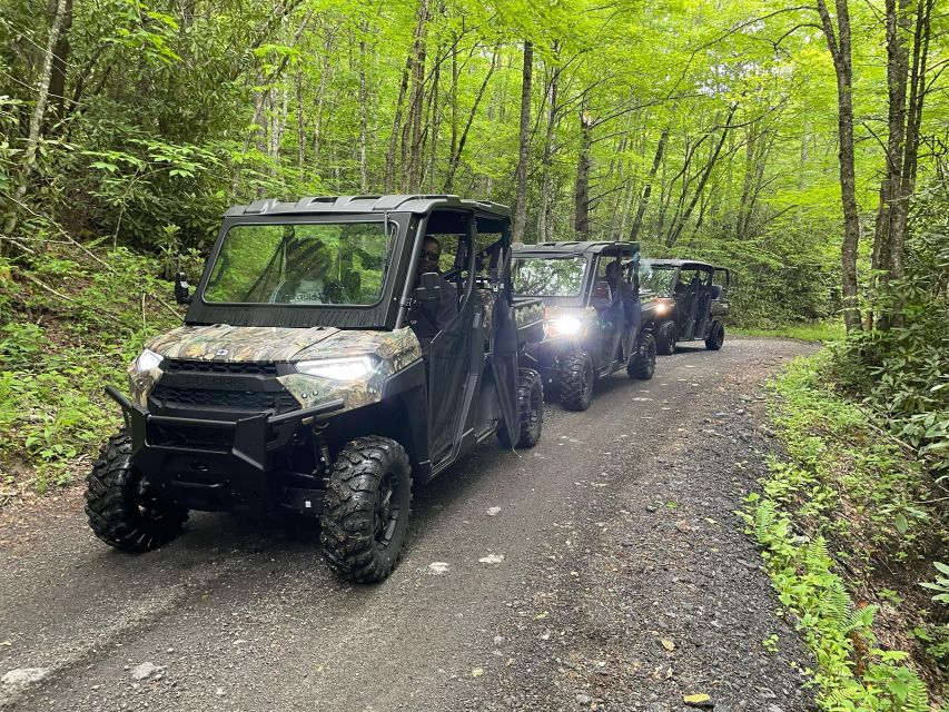 (3 HR.) Guided Scenic UTV Adventure - Wildlife Sightings