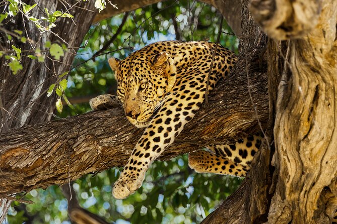 3 Night & 4 Day Private Kruger Park Safari - Inclusions