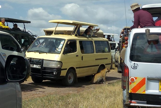 3days/2nights Group Joining Masai Mara - Accommodation