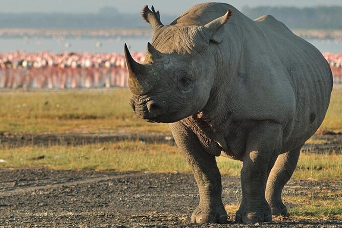 3DAYS Safari to Tarangire Ngorongoro and Manyara Lodge Safari - Safari Accommodations and Meals