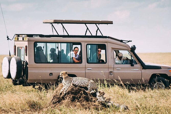 4 Day Ngorongoro Crater Tarangire and Serengeti National Park - Transportation Arrangements