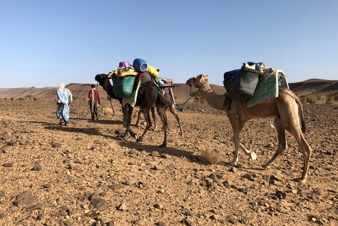 4 Day Private Desert Trek From MHAMID to Chegaga - Meeting Point and Pickup