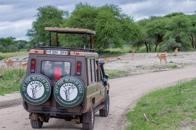 4 Days Tarangire , Ngorongoro ,Manyara and Lake Eyasi Village - Tarangire National Park