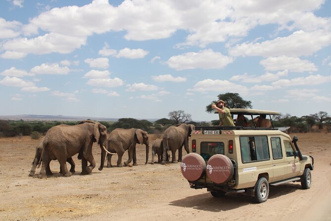 4 Days Tarangire Serengeti Ngorongoro Crater - Serengeti National Park