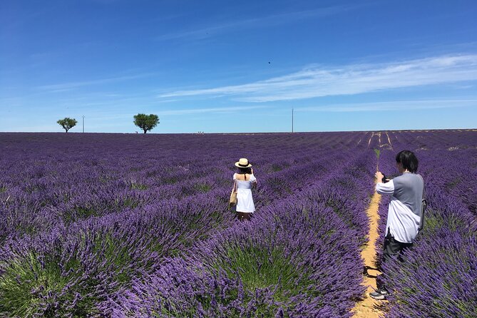 4-Hour Lavender Fields Tour in Valensole From Aix-En-Provence - Meeting and Pickup