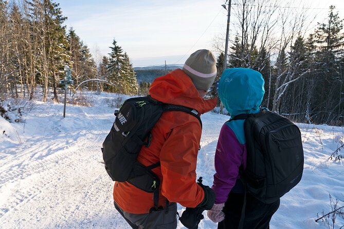 4 Hours Winter View of the Oslofjord Walk Tour - Physical Requirements