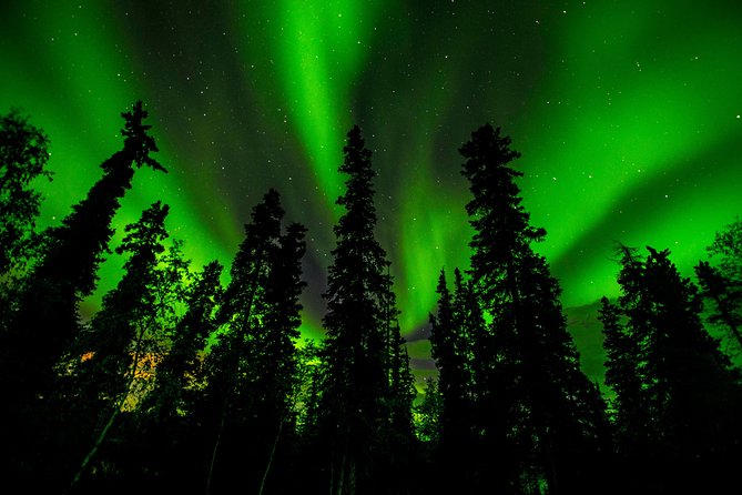 4- to 6-Hour Northern Lights Tour From Yellowknife - Logistics