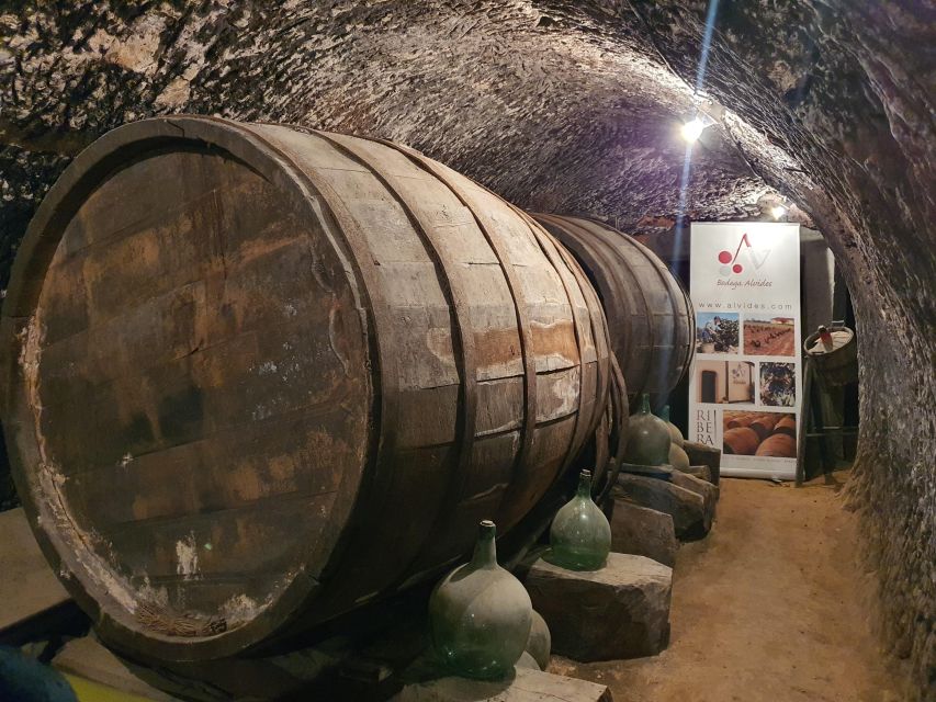 4 Wineries, Comprehensive Ribera Del Duero Winetour - Modern and Classic Winemaking Techniques