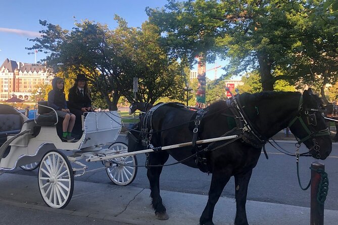 45-Minute By The Park Tour - Meeting Point