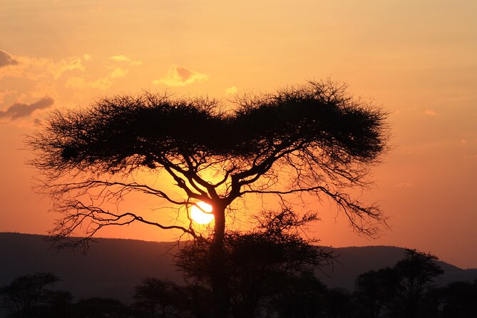 5-Day Private Camping Safari Tour in Tanzania - Tour Schedule