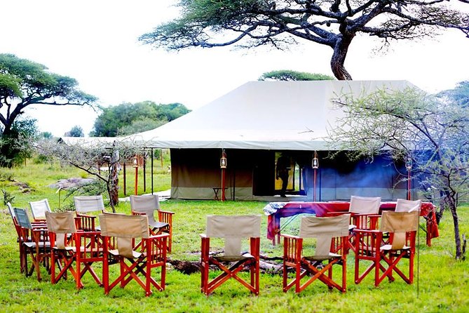 5 Days 4 Nights Tarangire, Serengeti , Ngorongoro & Manyara Wildlife Safari - Visiting Ngorongoro Conservation Area