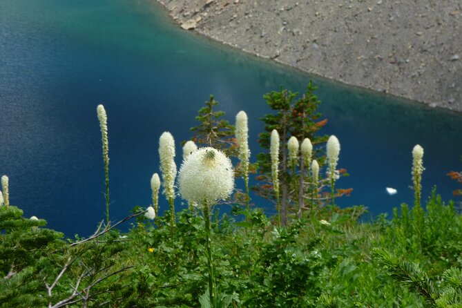 5 Days Hiking Trip in Waterton - Cancellation Policy