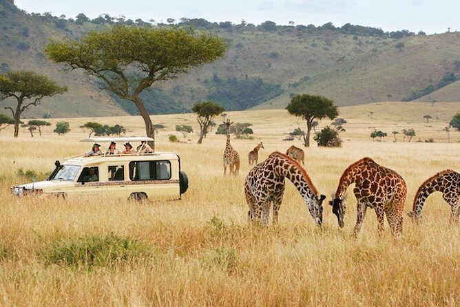 5 Days Safari in Tanzania | Camping and Lodge Safaris - Meeting and Pickup