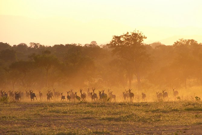 5 Days Safari to Selous & Mikumi - Participation Requirements