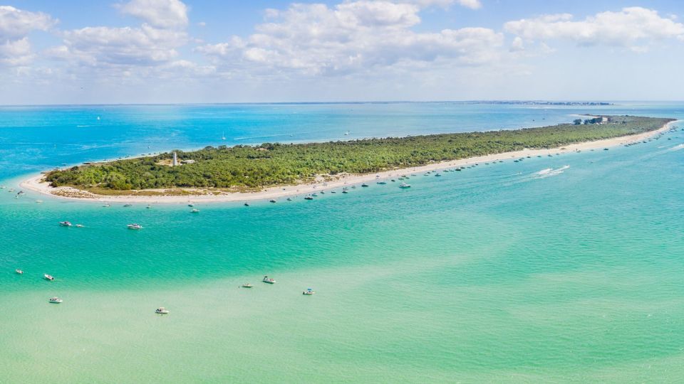 5-Hour Egmont Key Tour in St. Pete - Viewing the Amazing Sealife