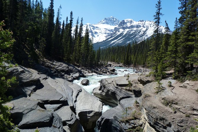 6-Day Rocky Mountains Wapiti Tour From Banff Finish Vancouver - Activities and Experiences