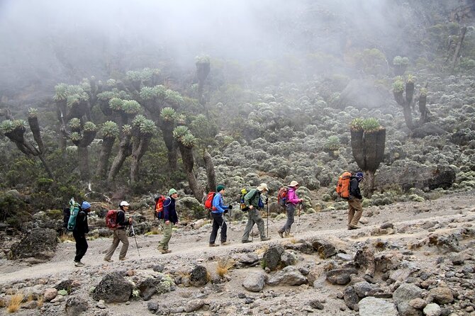 6 Days: Hiking Kilimanjaro via Machame Route - Pickup and Departure Information