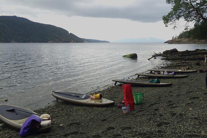 6 Hour SUP Finlayson Arm Fjord - Meeting Point and Pickup