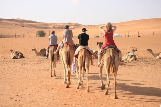 7-8 Hours Private Desert Adventure Trip With Activities - Restrictions and Requirements