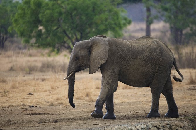 7 Days Safari. Serengeti, Tarangire, Lake Manyara & Ngorongoro Crater. - Transportation and Logistics