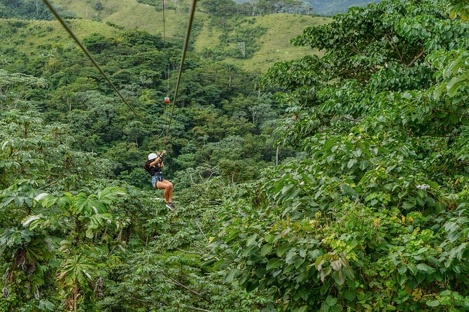 7 Tours Zipline, Chairlift, Buggy, Horseback Ride Punta Cana - Exhilarating Buggy Experience