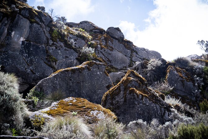 8 Days Climbing Mt.Kilimanjaro (Lemosho Route) - Hiking at Your Own Pace