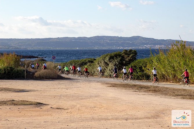 A Mine of Memories Bike Tour - Bike Rental Options