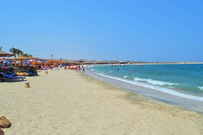 Abu Dabbab Over Day - Snorkel With Turtles & Dugong From Hurghada - Hurghada - Guest Reviews and Feedback