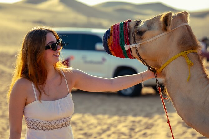 Abu Dhabi Evening Desert Safari - Private Car Dune Bashing & BBQ - On-site Activities