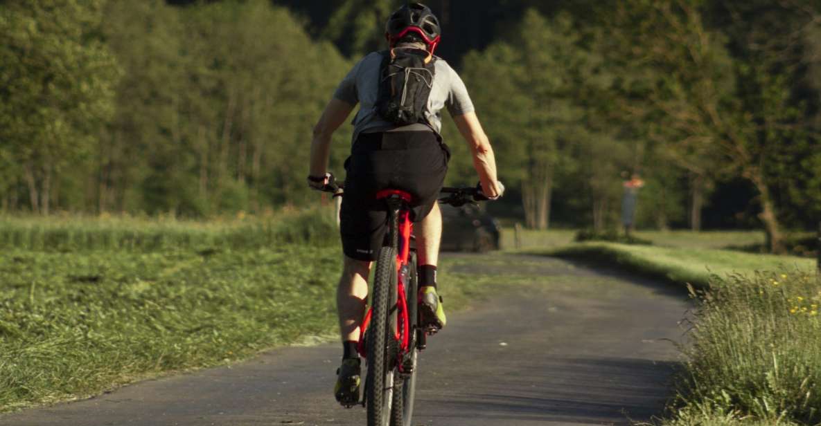 Acadia Half Day Private Bike Tour - Carriage Roads for All Levels