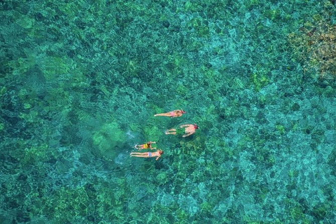 Afternoon Kealakekua Snorkel Tour - Crew and Customer Experience