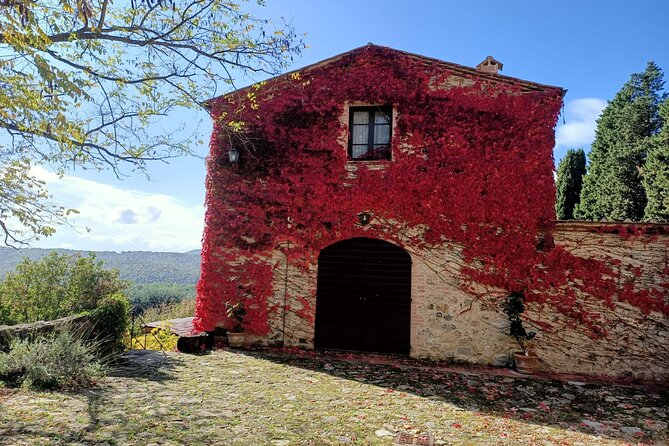 Afternoon Semi Private Chianti Tour From Siena - Chianti Classico Wine Tasting