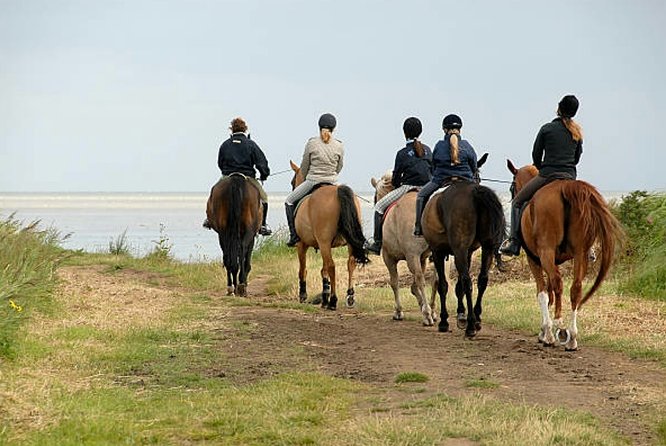 Agadir 2-Hour Private Horse Riding Experience With Pickup - Accessibility and Additional Info