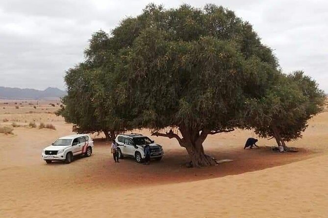 Agadir Sahara Day Trip With Lunch - Pickup and Confirmation