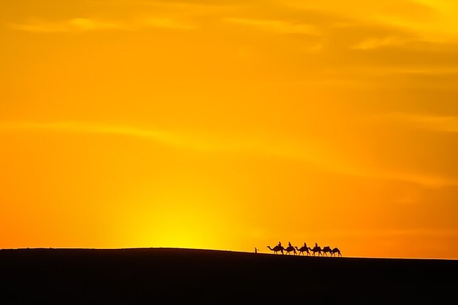 Agafay Desert Package, Quad Bike, Camel Ride and Dinner Show - Authentic Camel Trekking