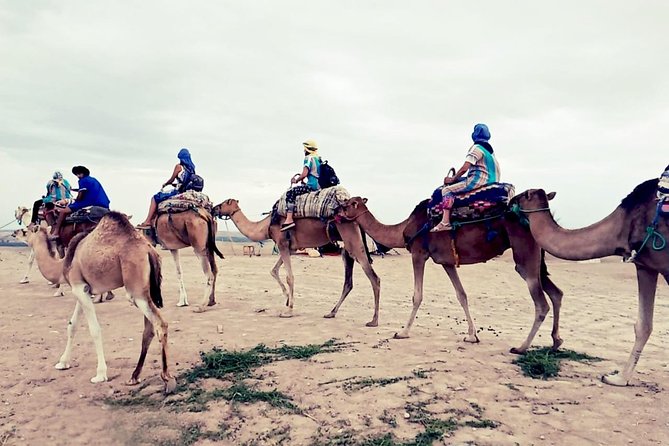 Agafay Half Day Rocky Desert Experience – Quad Bike & Camel Ride - Meeting and Pickup Locations