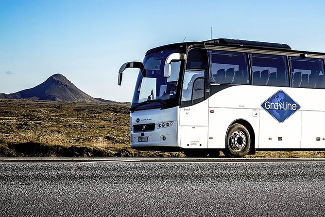 Airport Express Shared Arrival Transfer From Keflavik Airport to Reykjavik Hotels - Accessibility and Accommodations