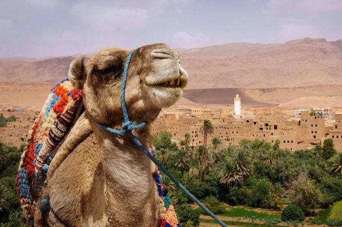 Ait Ben Haddou and Ouarzazate Day Trip - Cancellation Policy