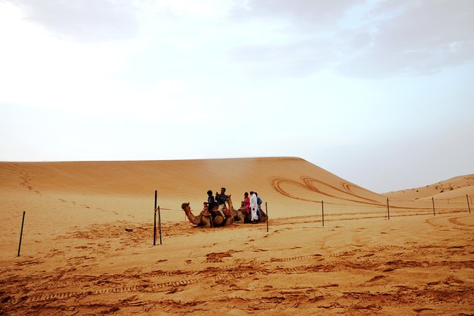 Al Ain Desert Safari With Buffet Dinner - Fitness and Health Requirements