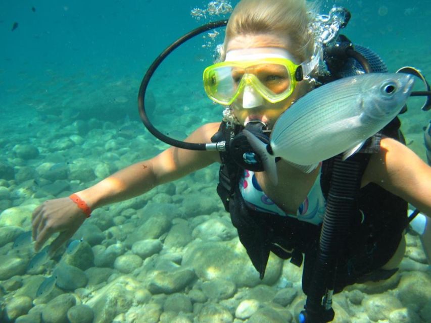 Alanya: Scuba Diving Experience With Lunch - Two Dives in Turquoise Waters