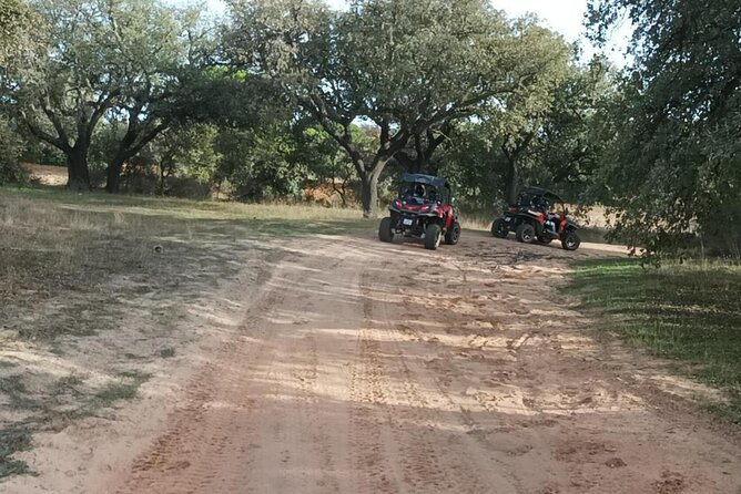 Albufeira 2 Hour Off-Road Tour Buggy Adventure Tour - Scenic Viewpoints