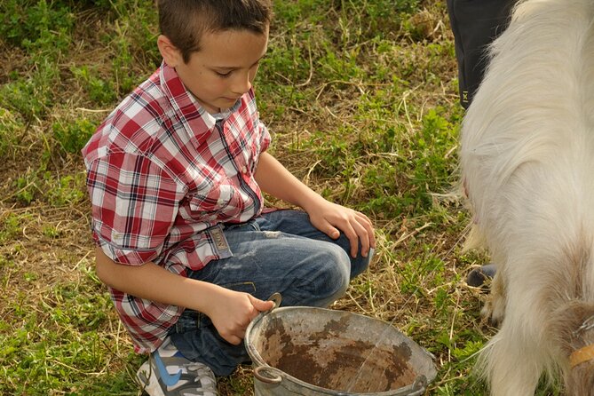 Alcamo Farm Animals and Aromatic Garden - Logistics